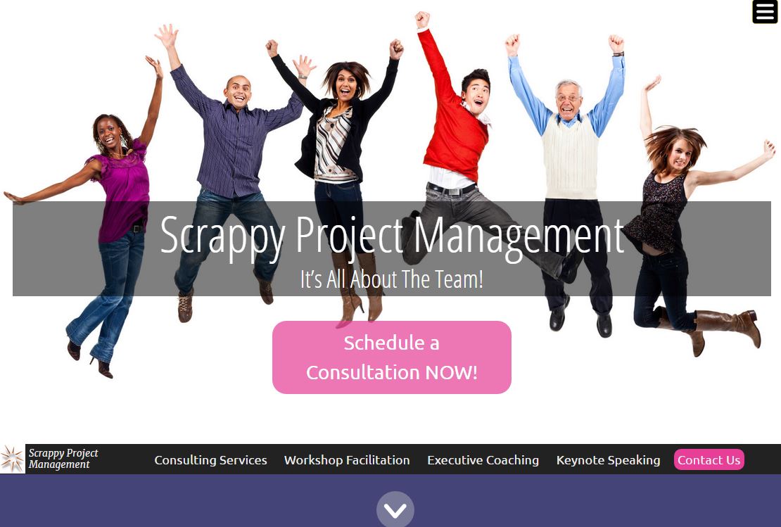 scrappyprojectmanagement.com